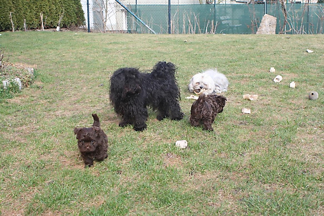 Prinzessinnen und Prinzen am spielen