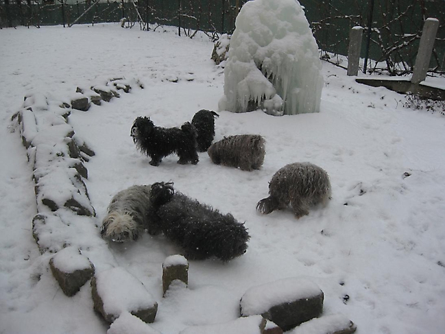 Prinzessinnen und Prinzen am spielen