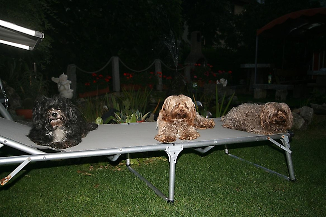 Prinzessinnen und Prinzen am spielen