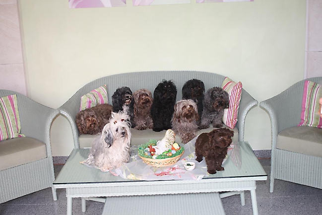 Prinzessinnen und Prinzen am spielen