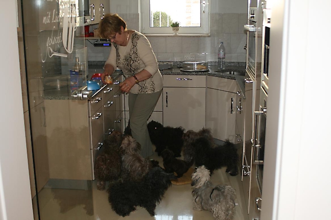 Prinzessinnen und Prinzen am spielen