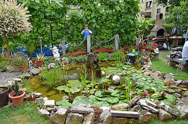 Unsere Bolonka Treffen