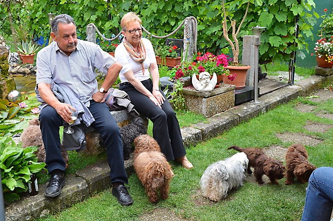 Unsere Bolonka Treffen