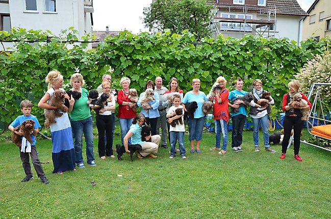 Unsere Bolonka Treffen