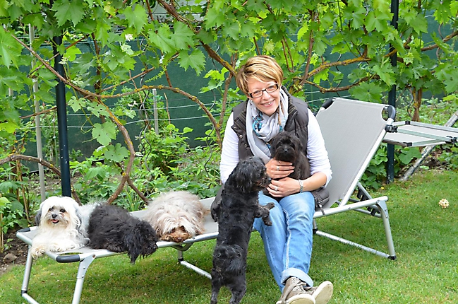 Unsere Bolonka Treffen