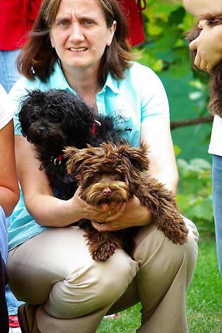 Unsere Bolonka Treffen