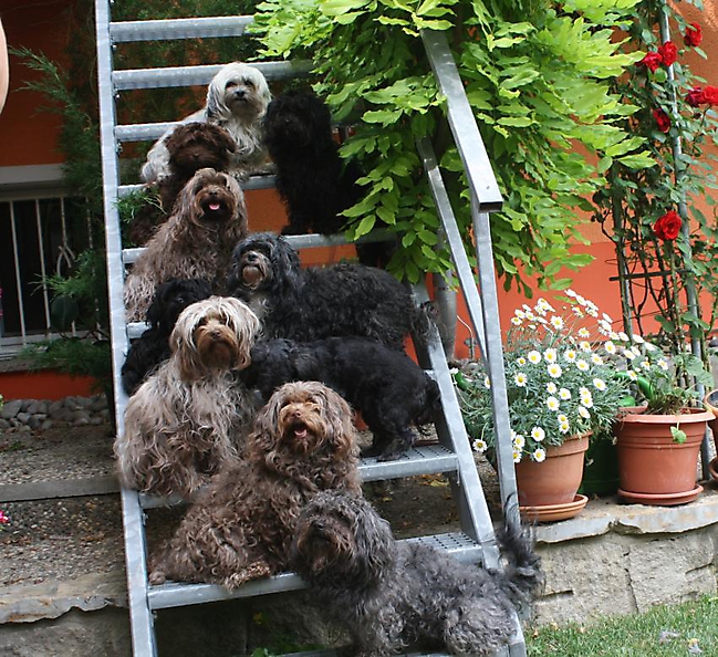 Prinzessinnen und Prinzen am spielen