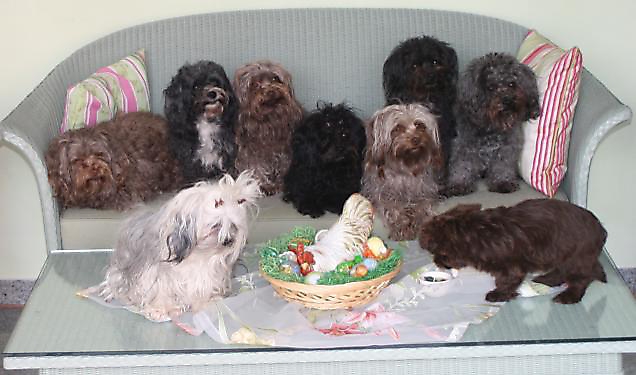 Prinzessinnen und Prinzen am spielen