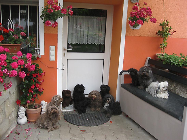 Prinzessinnen und Prinzen am spielen