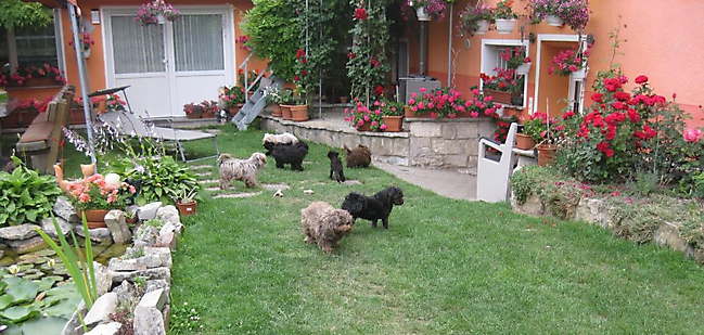 Prinzessinnen und Prinzen am spielen