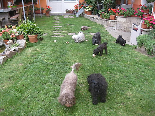 Prinzessinnen und Prinzen am spielen