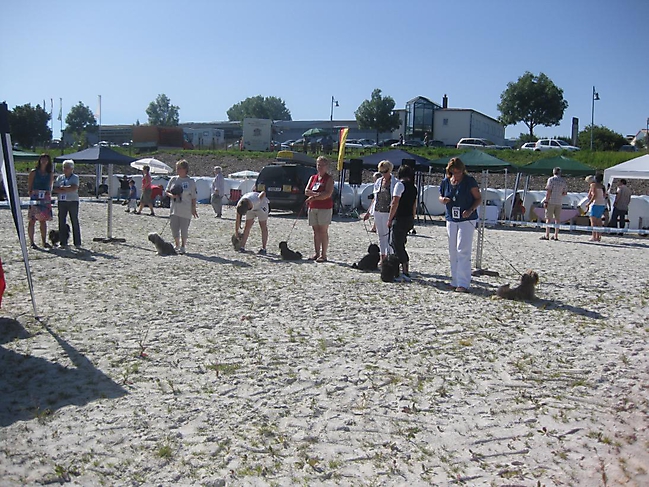 Prinzessinnen und Prinzen am spielen