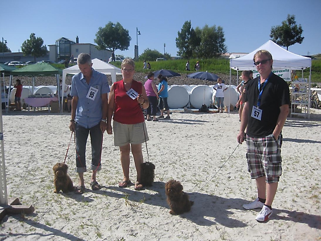 Prinzessinnen und Prinzen am spielen