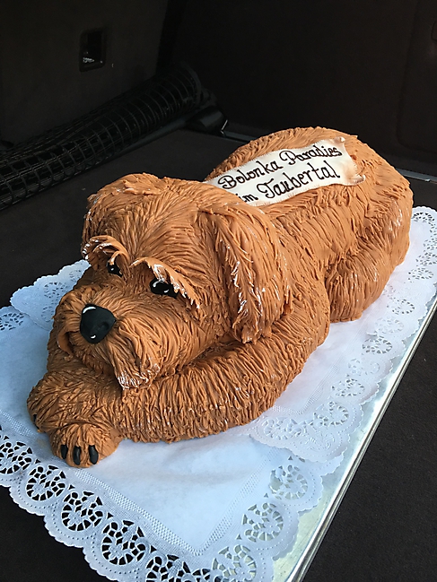 Bolonka Zwetna Treffen 2016