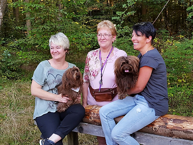 Bolonka Zwetna Treffen 2016