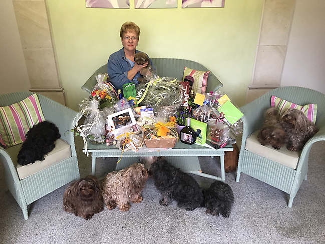 Bolonka Zwetna Treffen 2016