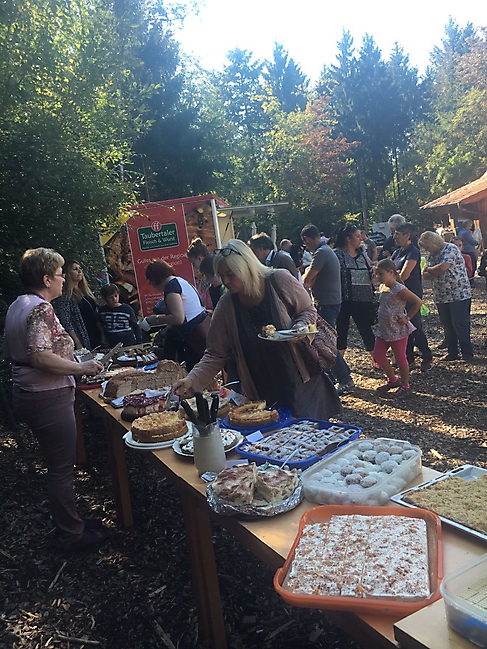 Bolonka Zwetna Treffen 2016