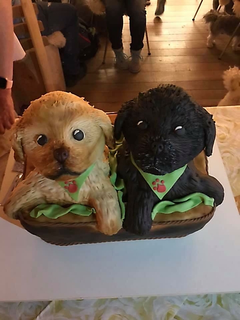 Bolonka Zwetna Treffen 2019