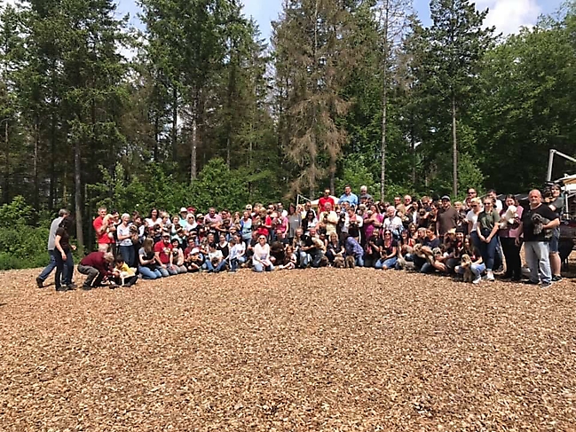 Bolonka Zwetna Treffen 2019