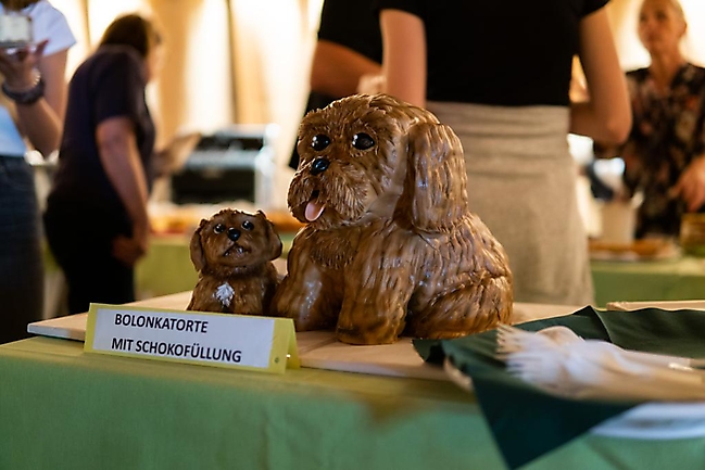 Bolonka Zwetna Treffen 2023