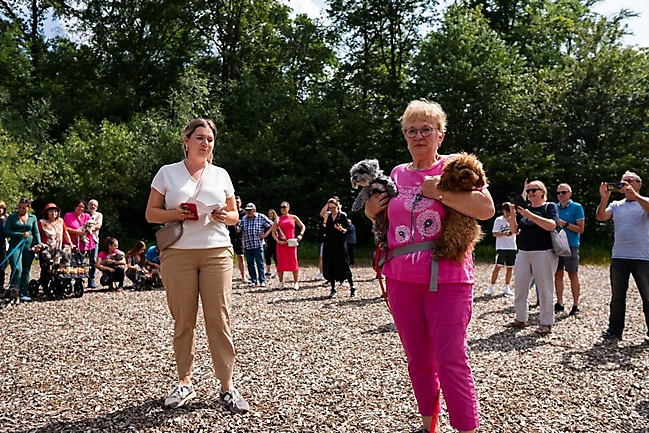 Bolonka Zwetna Treffen 2023