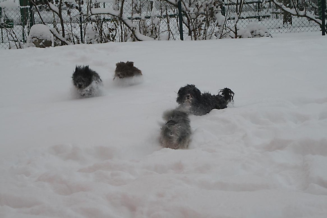 Prinzessinnen und Prinzen am spielen