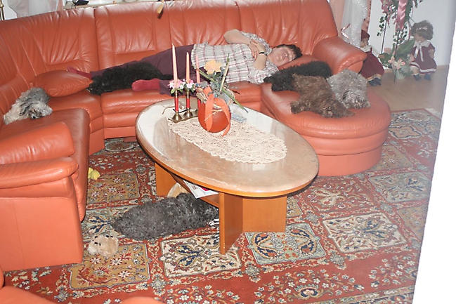 Prinzessinnen und Prinzen am spielen