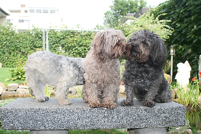 Prinzessinnen und Prinzen am spielen