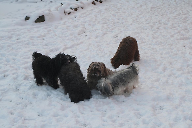 Prinzessinnen und Prinzen am spielen