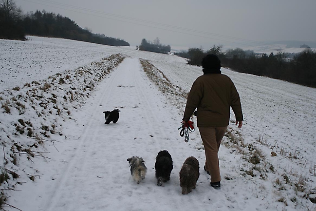Prinzessinnen und Prinzen am spielen