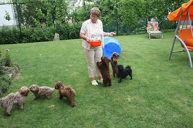 Unsere Bolonka Treffen