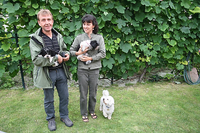 Unsere Bolonka Treffen