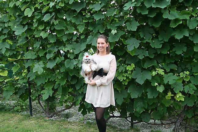 Unsere Bolonka Treffen