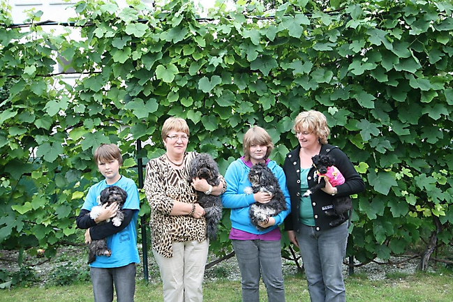 Unsere Bolonka Treffen 