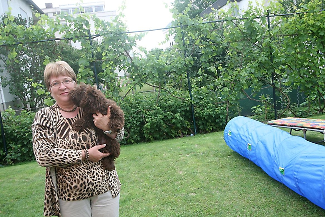 Unsere Bolonka Treffen 