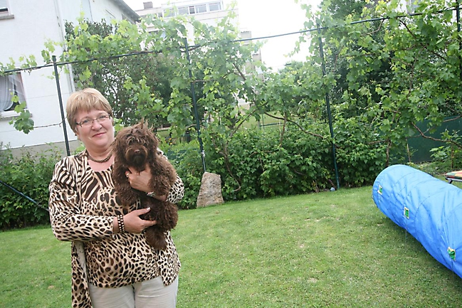 Unsere Bolonka Treffen 