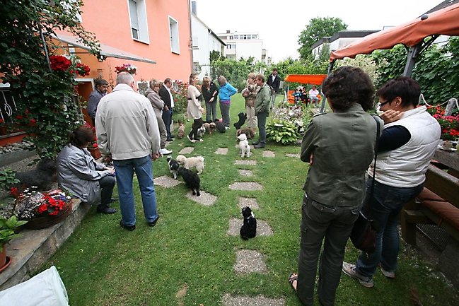 Unsere Bolonka Treffen 