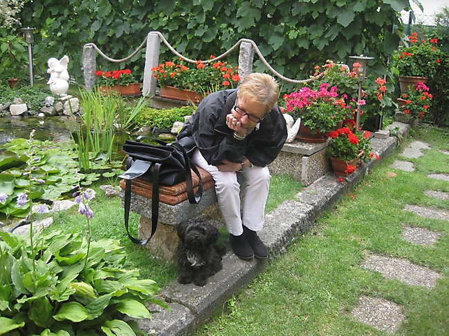 Unsere Bolonka Treffen 