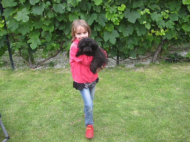 Unsere Bolonka Treffen 