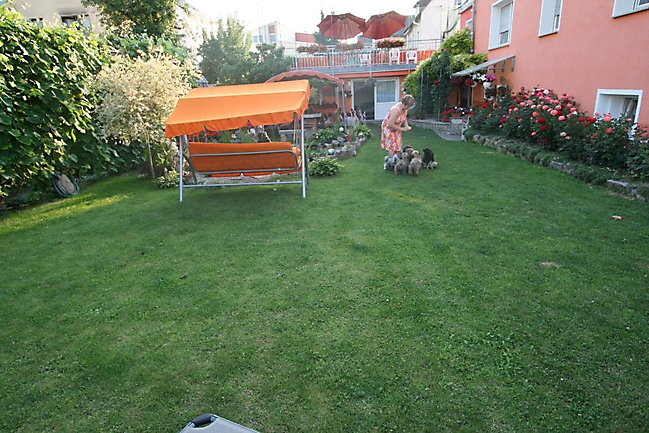 Prinzessinnen und Prinzen am spielen