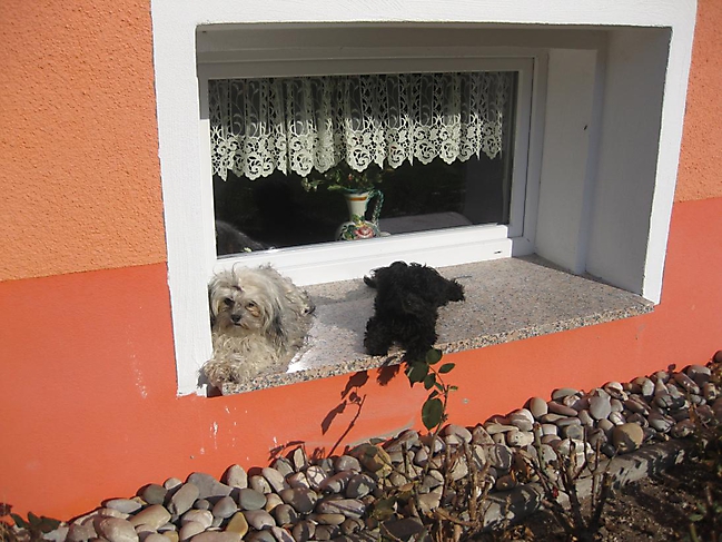 Prinzessinnen und Prinzen am spielen