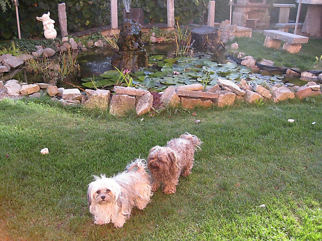 Prinzessinnen und Prinzen am spielen