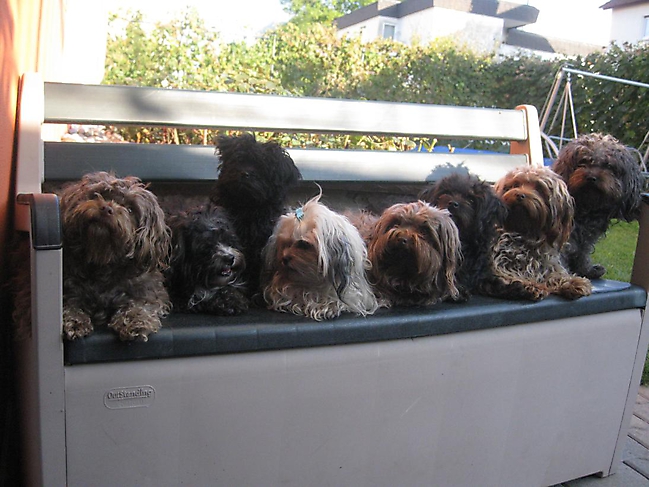 Prinzessinnen und Prinzen am spielen