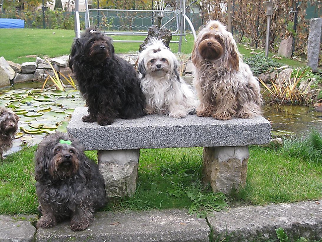 Prinzessinnen und Prinzen am spielen