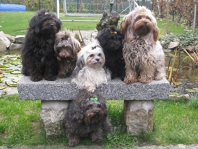 Prinzessinnen und Prinzen am spielen