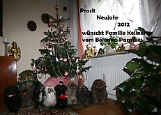 Prinzessinnen und Prinzen am spielen