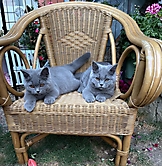 Prinzessinnen und Prinzen am spielen