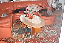 Prinzessinnen und Prinzen am spielen