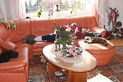 Prinzessinnen und Prinzen am spielen