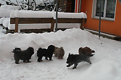 Prinzessinnen und Prinzen am spielen